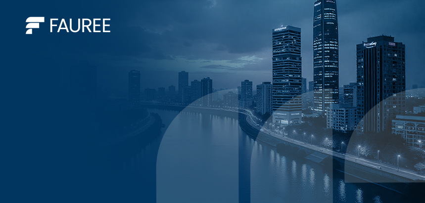 liquidity management in developing economies